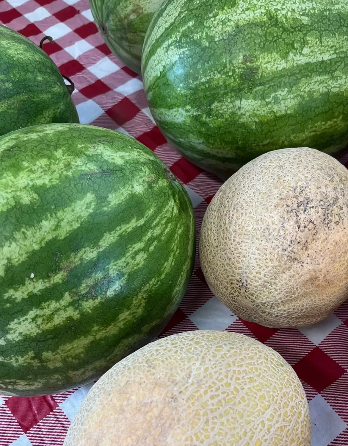 Ripe watermelons stacked at the farm stand